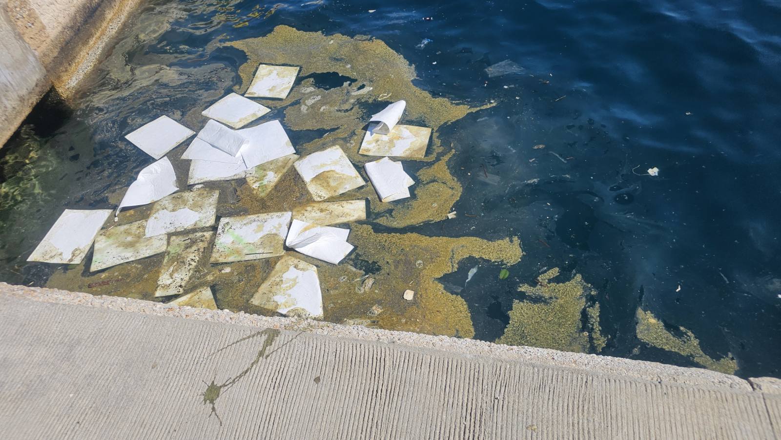 C:\Users\User\ENVIRONMENTAL OBSERVATORY\2 ΠΡΟΣ ΕΠΕΞΕΡΓΑΣΙΑ ΔΗΜΟΣΙΕΥΣΕΩΝ\ΡΥΠΑΝΣΗ ΛΙΜΑΝΙΟΥ 09.10.2026\IMG-b0cf4d890ab451ecd855255ce052e03f-V.jpg